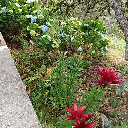 Holiday home Ramon Agulo